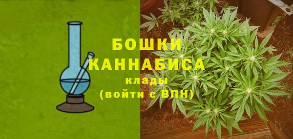 ГАЛЛЮЦИНОГЕННЫЕ ГРИБЫ Бронницы